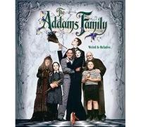 The Addams Family – Anjelica Huston, Raul Julia, Christopher Lloyd – Blu-ray – Paramount Pictures