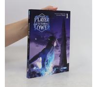 The Advanced Player Of The Tutorial Tower 01