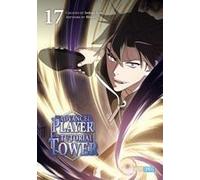 The Advanced Player Of The Tutorial Tower 17
