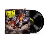 The Adventures Of Bobby Ray Vinyle