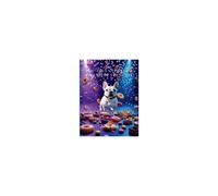 The Adventures Of Chico The Frenchie: The Activity Book Paperback