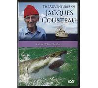 the adventures of jacques coustdau great white sharks