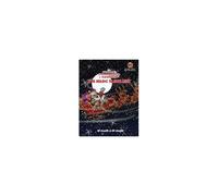 The Adventures Of Strawberryhead & Gingerbread®-The Magic Sleigh Ride