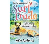 The Adventures Of Surf Dude