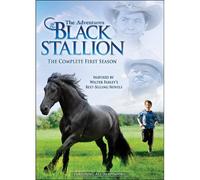 The Adventures Of The Black Stallion