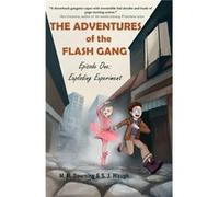 The Adventures of the Flash Gang by M.M. Downing M.M. Downing (Auteur)