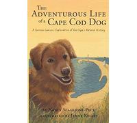 The Adventurous Life Of A Cape Cod Dog