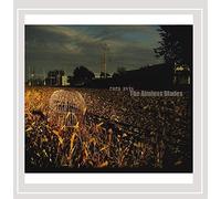 The Aimless Blades - Rara Avis