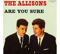 The Allisons - Are You Sure (LP)