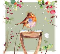 The Almanac Gallery Lot de 8 cartes de Noël caritatives - Rouge-gorge sur poignée enneigée - Écologique