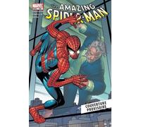 The Amazing Spider-Man - Tome 4 - Passé Recomposé