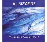 The Ambient Collection Vol. 2