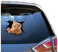 The American Shorthair Cat Cute Sticker Kawaii Cat Stickers Funny Cat Car Decal Cute Bumper Vehicle Decals For Girl Vinyl Race Stickers