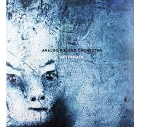 The Analog Roland Orchestra - Aftermath II