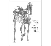 The Anatomy of the Horse