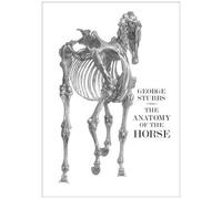 The Anatomy Of The Horse