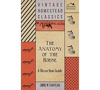 The Anatomy Of The Horse - A Dissection Guide