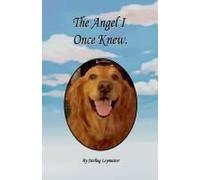 The Angel I Once Knew