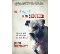 The Angel On My Shoulder