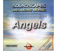 The Angels - Vol. 06 Soundscapes [Import]