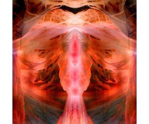 The Anihilating Angel/Or the Surface of the World