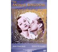 The Animal Kingdom