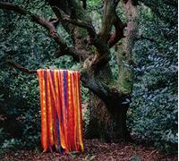 The Animal Spirits – Integral
