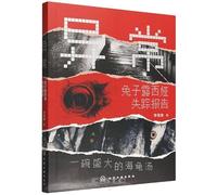 The Anomaly: The Disappearance Report of Rabbit Lucia (Chinese Edition)