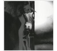 The Answer by U.N.K.L.E.