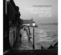 The Apartments – That'S What the Music Is for – Vinyle blanc – Broken Silence