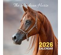 The Arabian Horse 2026: A Year of Celebrating the Desert's Royalty