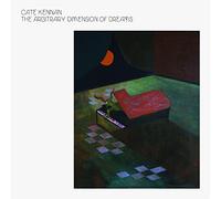 The Arbitrary Dimension of Dreams