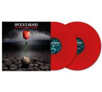 Spock's Beard – The Archaeoptimist – Vinyle 140 g rouge (Madfish)