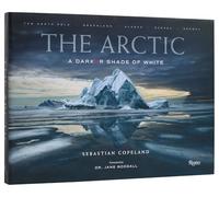 The Arctic: A Darker Shade of White