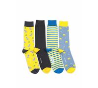The Arctic Bay Chaussettes 'MANBARRA EDITION Gift box 4 Pack Unisex' mélange de couleurs, Taille 41-45