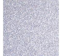 The Ark Craft Lot de 5 cartes à paillettes 250 g/m² Argenté Format A4