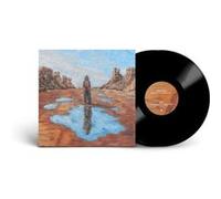 The Art Of Acceptance Vinyle