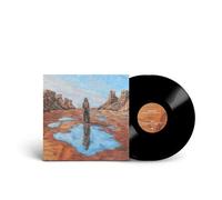The Art Of Acceptance Vinyle