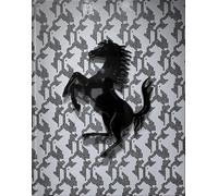 The Art of Ferrari /anglais