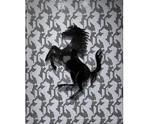 The Art of Ferrari /anglais