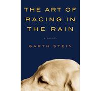 The Art of Racing in the Rain