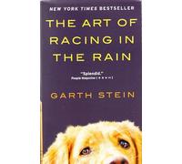 The Art of Racing in the Rain