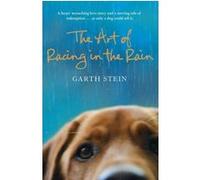 The art of racing in the rain Garth Stein (Auteur)
