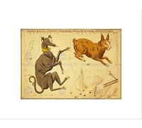The Art Stop Drawing Star Map Canis Major Hare Dog Constellation Framed Print B12X10913