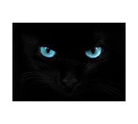 The Art Stop Photo Black Cat Blue Eyes Panther Framed Print F12X2815