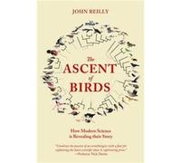 The Ascent of Birds by John Reilly John Reilly (Auteur)