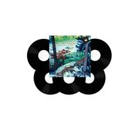 The Asylum Albums (1972-1975) - Vinyle 33 Tours