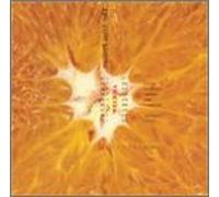 The Atlas Project - Wechma