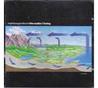 The Audio Of Being