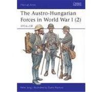 The Austro-Hungarian Forces in World War I (2): 1916-18